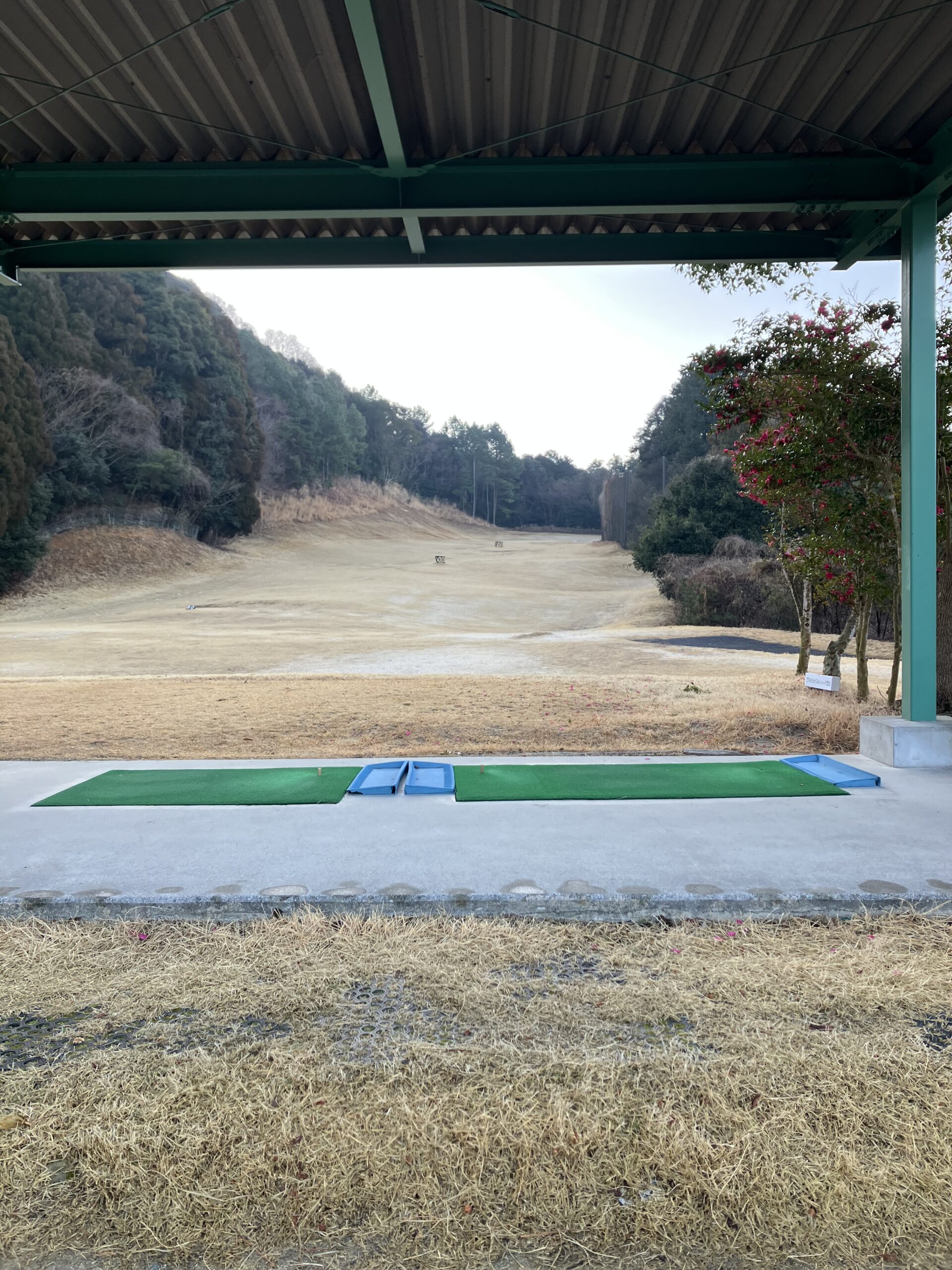 ドライビングレンジ