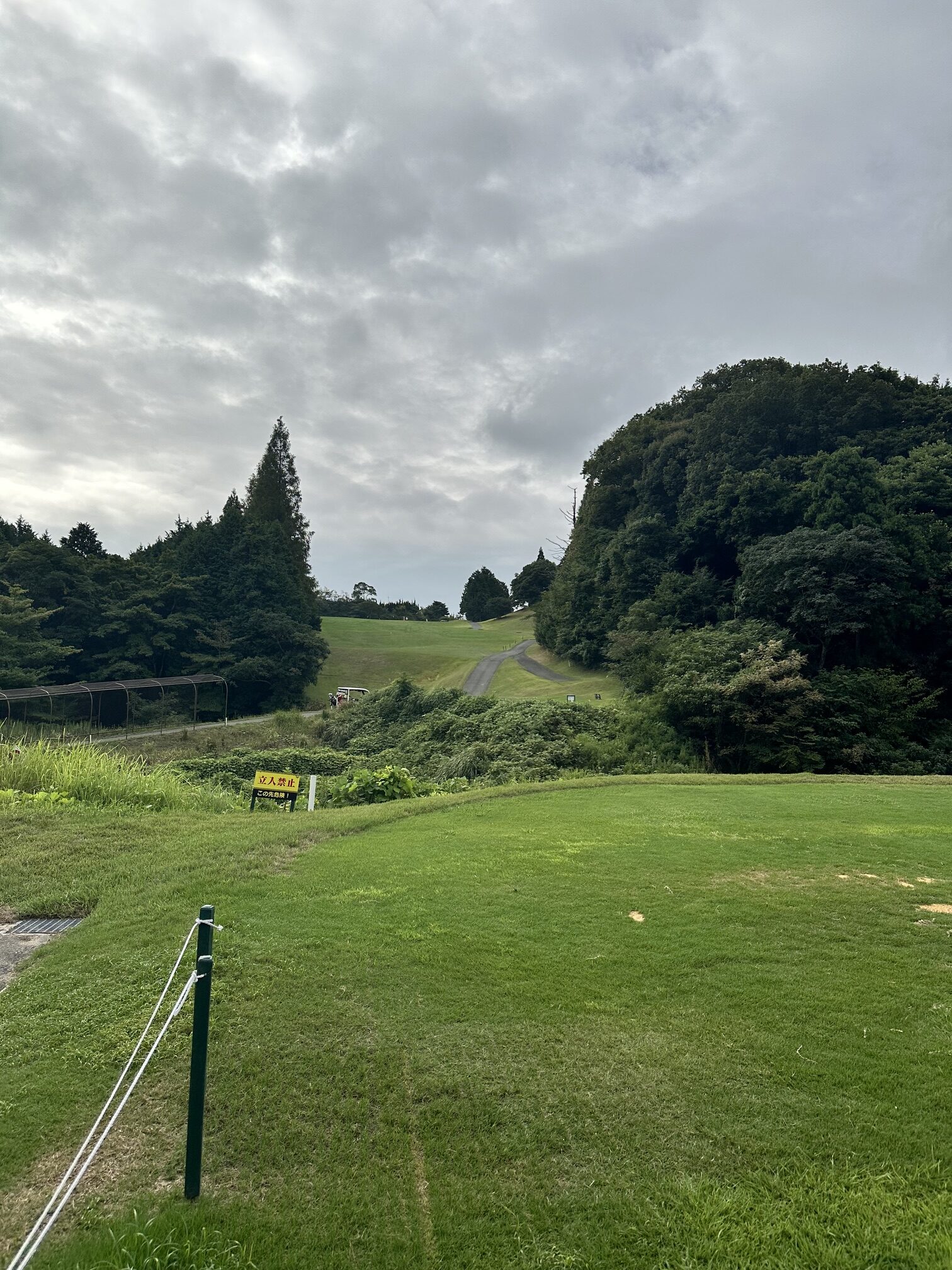 杉 2番コース