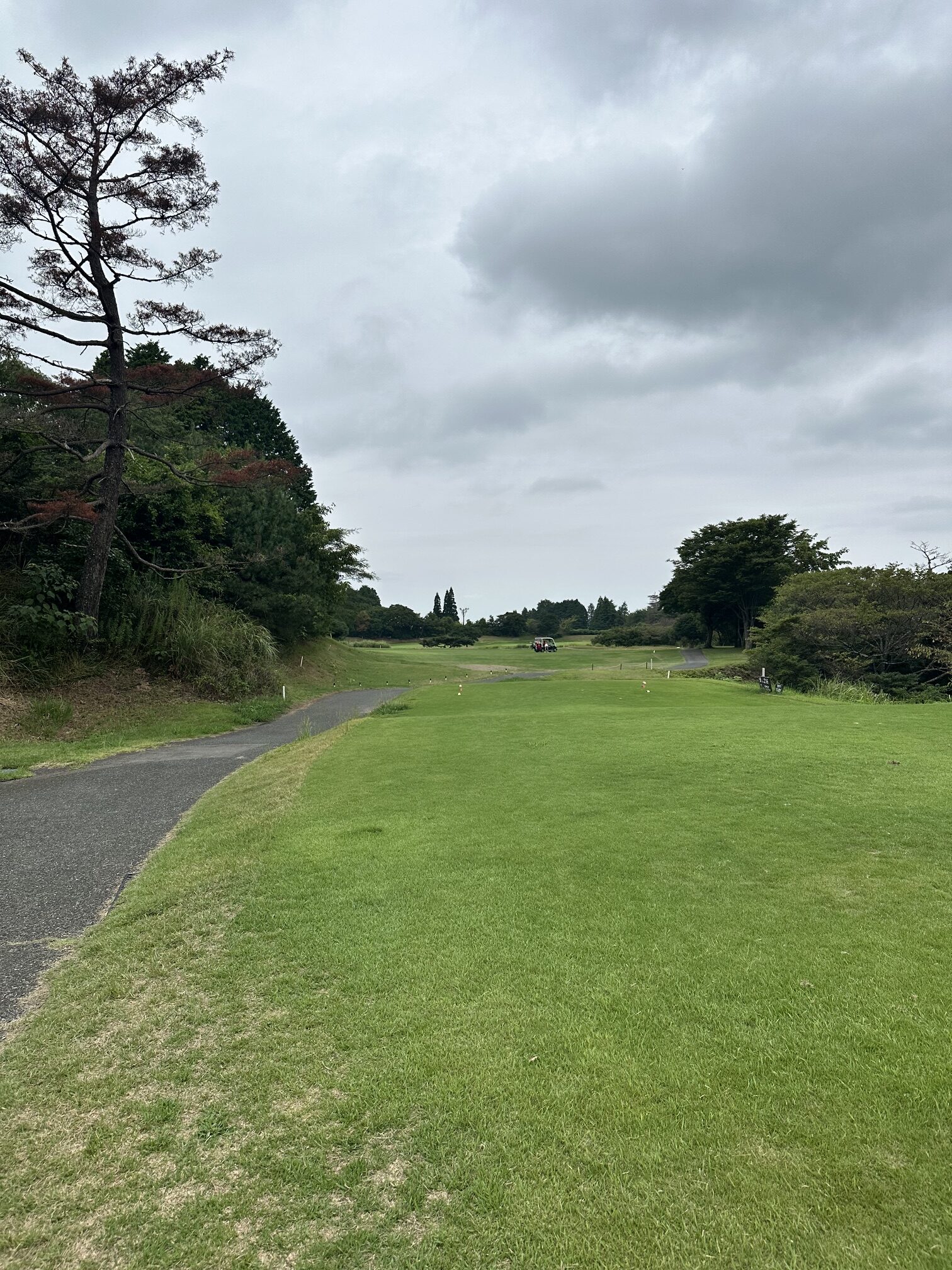 杉 9番コース